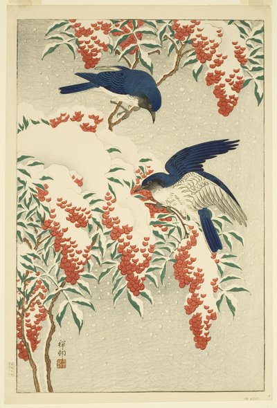 Atrapamoscas en Nandina cubierta de nieve (grabado en madera a color) de Jean Baptiste Thonesse