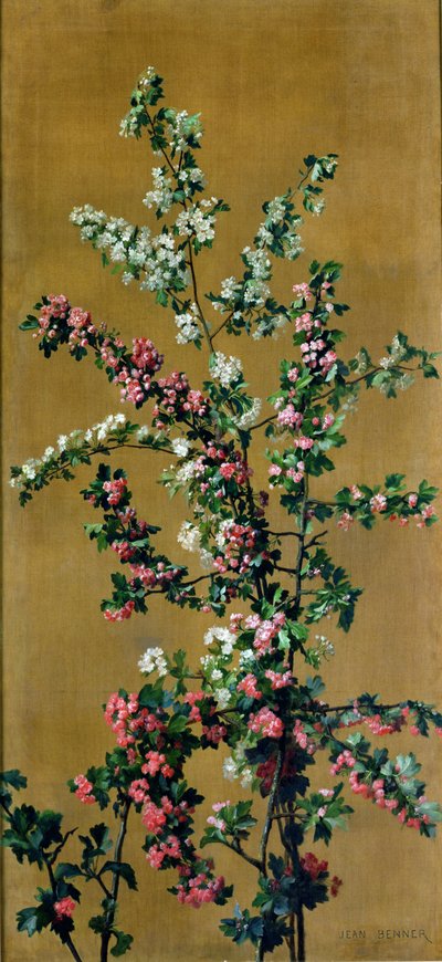 Cerezo japonés y ramas de espino de Jean Benner