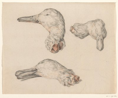 Cabeza cortada de un pato de Jean Bernard