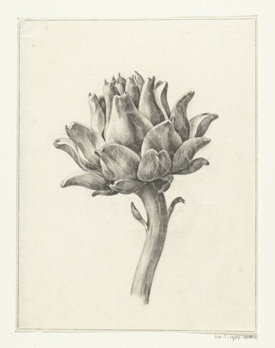Alcachofa de Jean Bernard