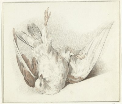 paloma muerta de Jean Bernard