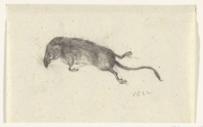 ratón muerto de Jean Bernard