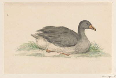 Pato, a la derecha de Jean Bernard