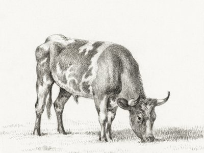 Toro de pastoreo de Jean Bernard