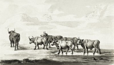 Grupo de seis toros de Jean Bernard