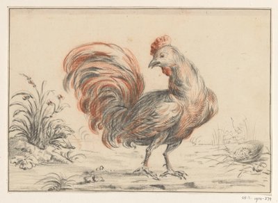 Haan de Jean Bernard