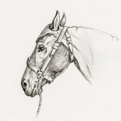 Cabeza de caballo (1818) de Jean Bernard