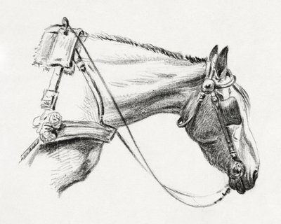 Cabeza de caballo (1820) de Jean Bernard