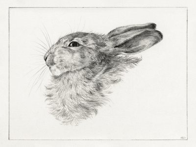 Cabeza de conejo (1821) de Jean Bernard