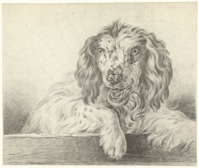 Hond de Jean Bernard