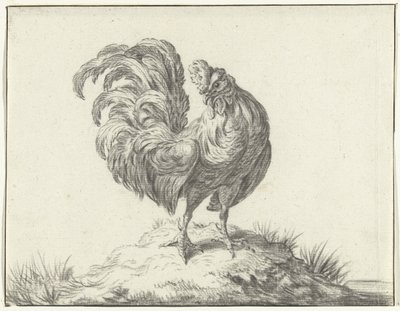 Pollo parado en una colina de Jean Bernard