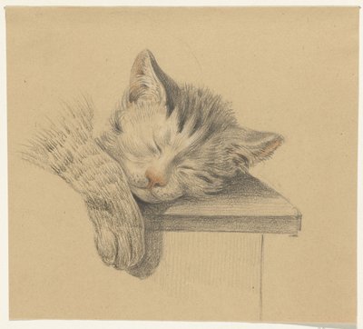 Cabeza y pata de un gato dormido de Jean Bernard