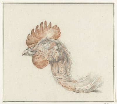 Cabeza de un pollo muerto de Jean Bernard