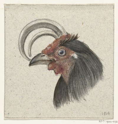 Cabeza de gallo de Jean Bernard