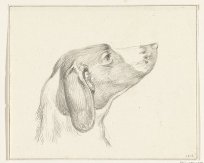 Cabeza de perro, a la derecha de Jean Bernard