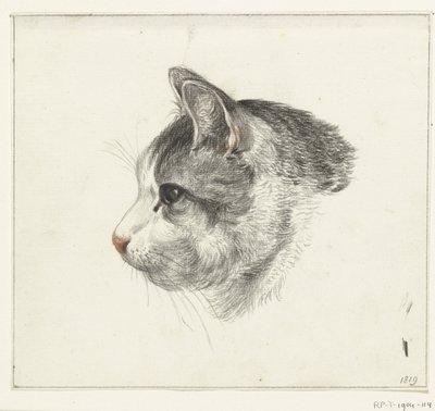 Cabeza de gato, a la izquierda de Jean Bernard