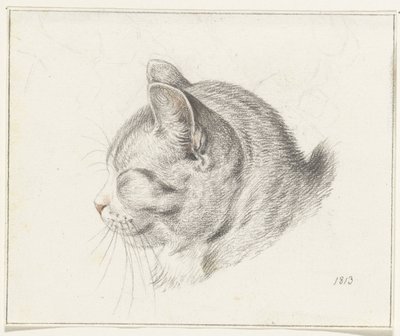 Cabeza de gato, a la izquierda de Jean Bernard