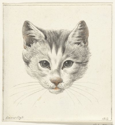 Cabeza de gato, vista de frente a la luz de las velas de Jean Bernard