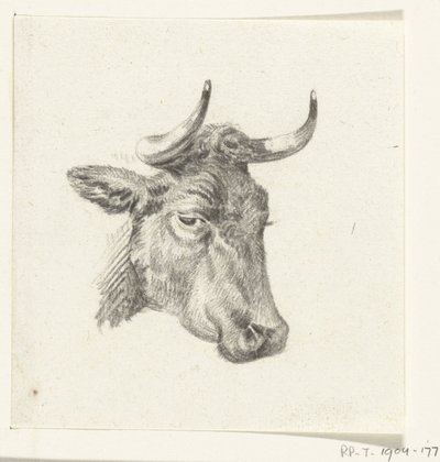 cabeza de vaca de Jean Bernard