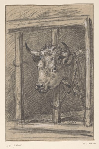 Cabeza de vaca, a través de los barrotes de un establo de Jean Bernard