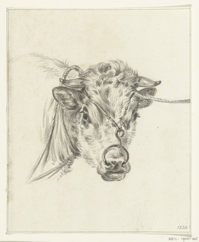 Cabeza de vaca, con un anillo en la nariz de Jean Bernard