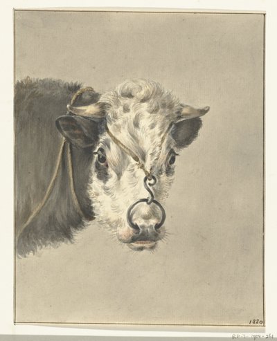 Cabeza de vaca, con un anillo en la nariz, de frente de Jean Bernard