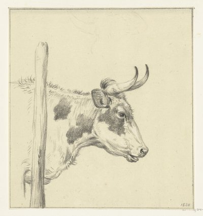 Cabeza de vaca, a la derecha de Jean Bernard