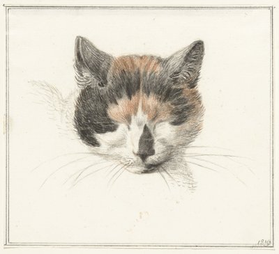 Cabeza de gato faldero, de frente, con los ojos cerrados de Jean Bernard