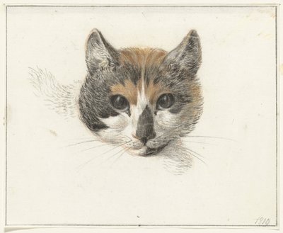 Cabeza de un gato manchado, de frente, con los ojos abiertos de Jean Bernard