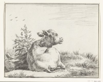 Vaca reclinada, desde atrás de Jean Bernard