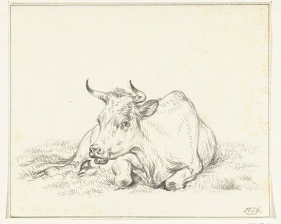 Vaca reclinada, de frente de Jean Bernard