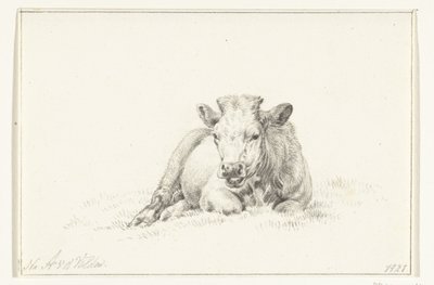 Vaca reclinada, de frente de Jean Bernard