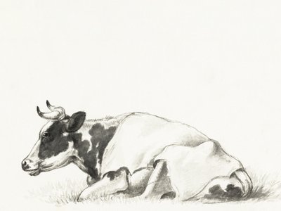 «La vaca tumbada», de Jean Bernard de Jean Bernard