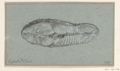 Filete de salmón cocido de Jean Bernard
