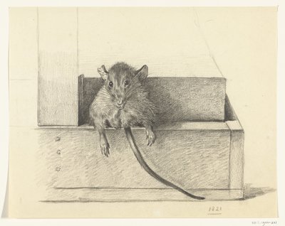 Ratón (¿en una trampa?) de Jean Bernard