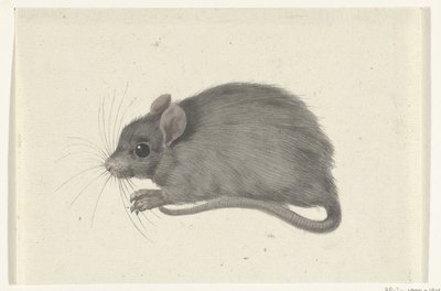 Ratón, a la izquierda de Jean Bernard