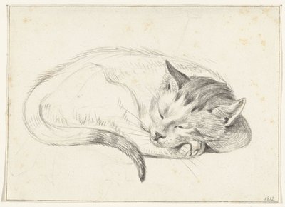 Gato dormido enrollado de Jean Bernard