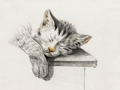 Boceto de un gato durmiendo de Jean Bernard