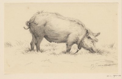 Cerdo de riego de pie, a la derecha, en la hierba de Jean Bernard