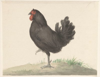 Pollo negro de pie de Jean Bernard