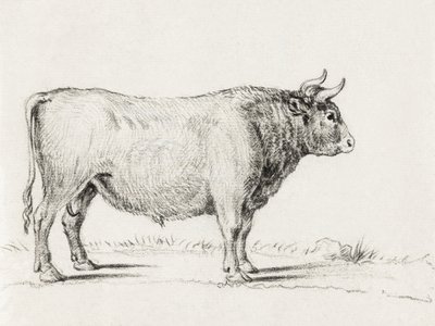 Toro de Pie de Jean Bernard