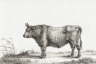 Toro de Pie de Jean Bernard