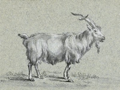 «Cabra de pie», de Jean Bernard de Jean Bernard