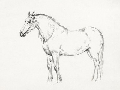 Caballo de pie (1818) de Jean Bernard