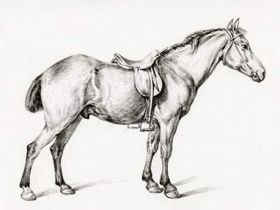 «Caballo de pie», de Jean Bernard (1775-1883) de Jean Bernard