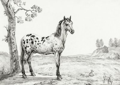 Caballo moteado de pie de Jean Bernard