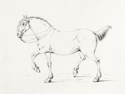 Caballo al paso (1775-1833) de Jean Bernard