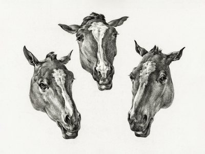 Tres cabezas de caballo (1812) de Jean Bernard