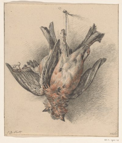 Dos pájaros muertos, colgados de una cuerda. de Jean Bernard