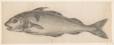 Pescado, a la izquierda de Jean Bernard